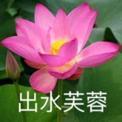 鬼语迷城蜡烛人最新版下载